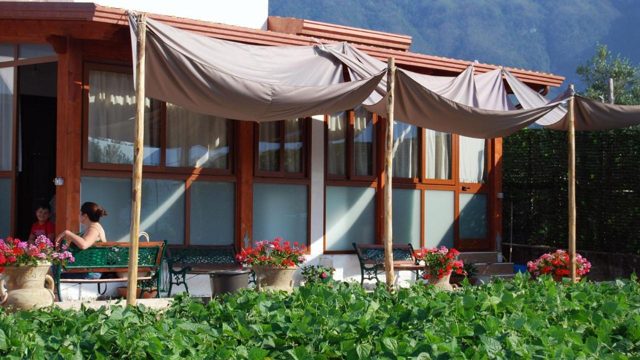 Madre Terra Villa Pimonte Kültér fotó